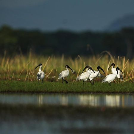 Wetlandcamp บ้านชายเล محافظة فاتالونغ المظهر الخارجي الصورة