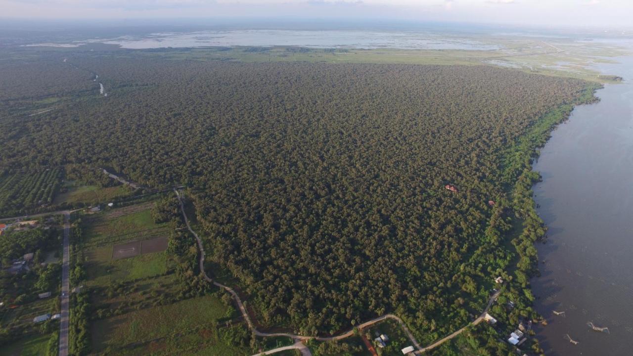 Wetlandcamp บ้านชายเล محافظة فاتالونغ المظهر الخارجي الصورة